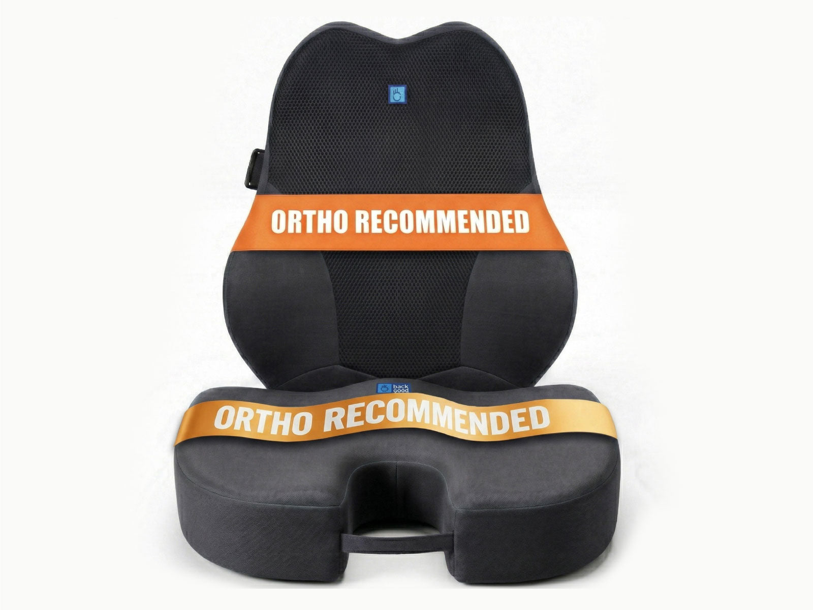 WFH Combo - Backrest (XL) + Coccyx Seat
