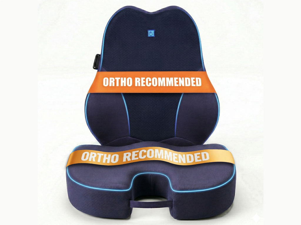 WFH Combo - Backrest (XL) + Coccyx Seat