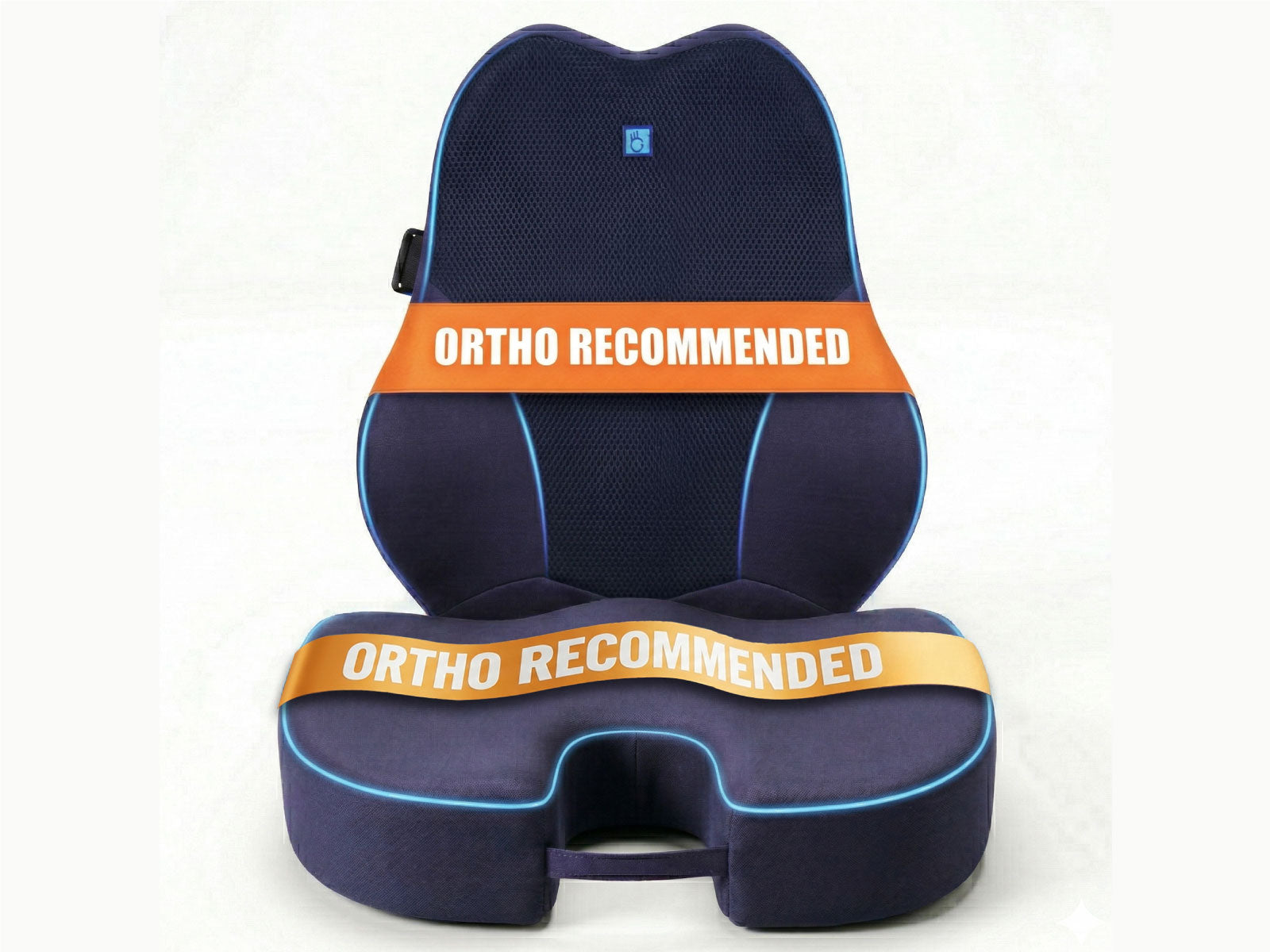 WFH Combo - Backrest (XL) + Coccyx Seat