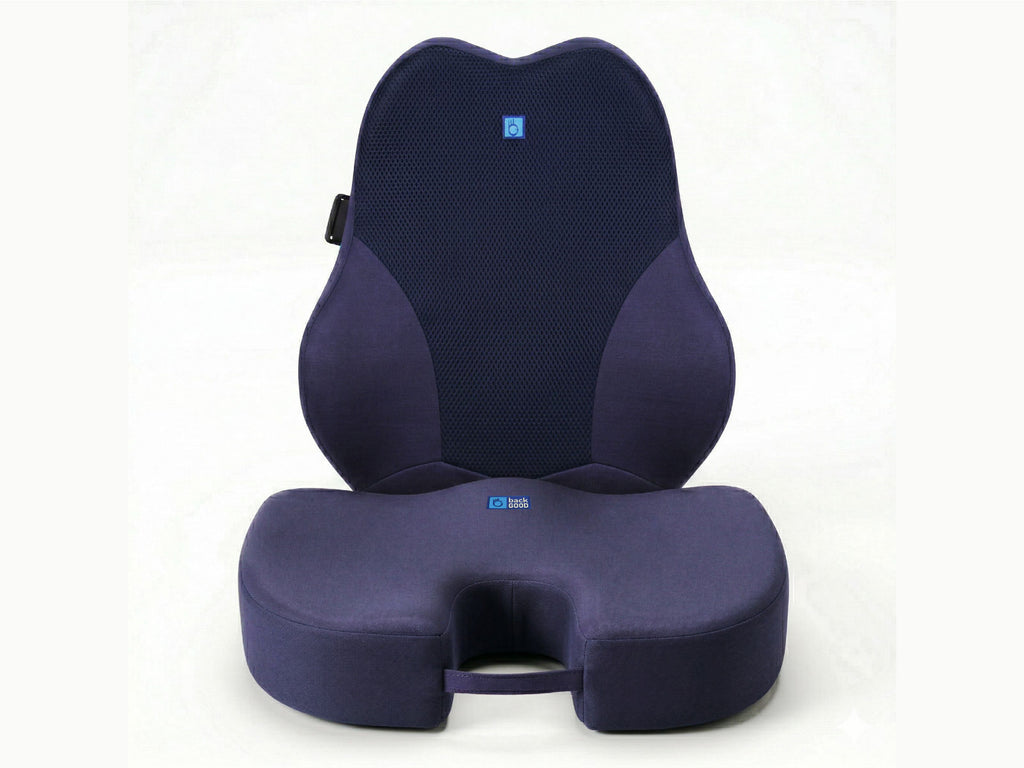 WFH Combo - Backrest (XL) + Coccyx Seat