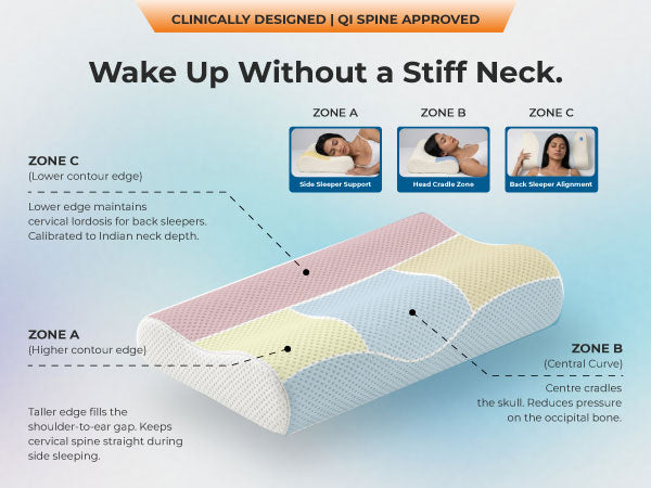 Expertly Contoured Support. Natural Spine Alignment.