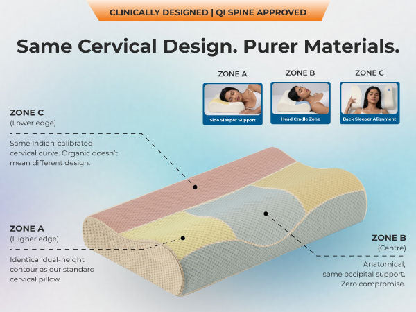 Wide Orthopedic Design. Complete Lumbar Coverage.