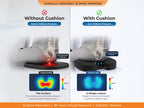 BackGood Coccyx Seat