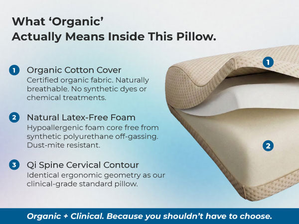 High Density Foam. Breathable Mesh Material.