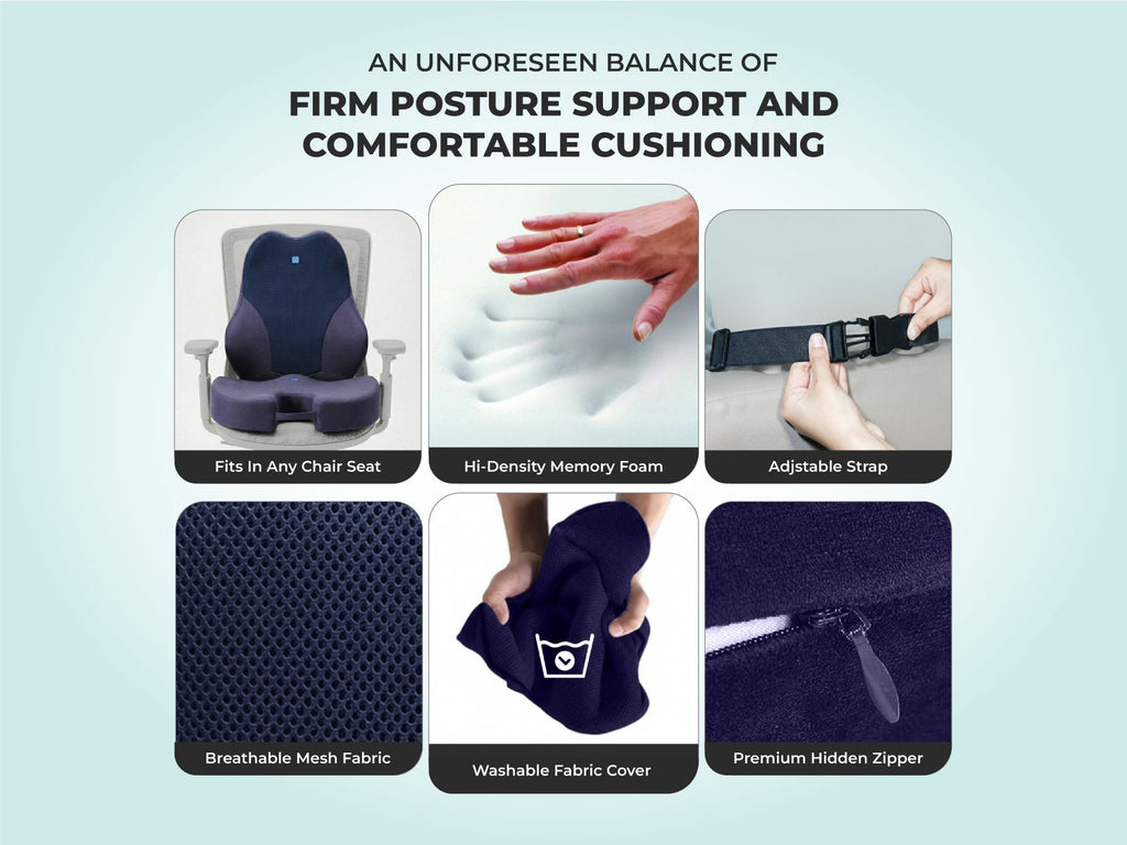 WFH Combo - Backrest (XL) + Coccyx Seat