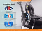 BackGood Lumbar Support D-Roll