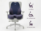 WFH Combo - Backrest (XL) + Coccyx Seat