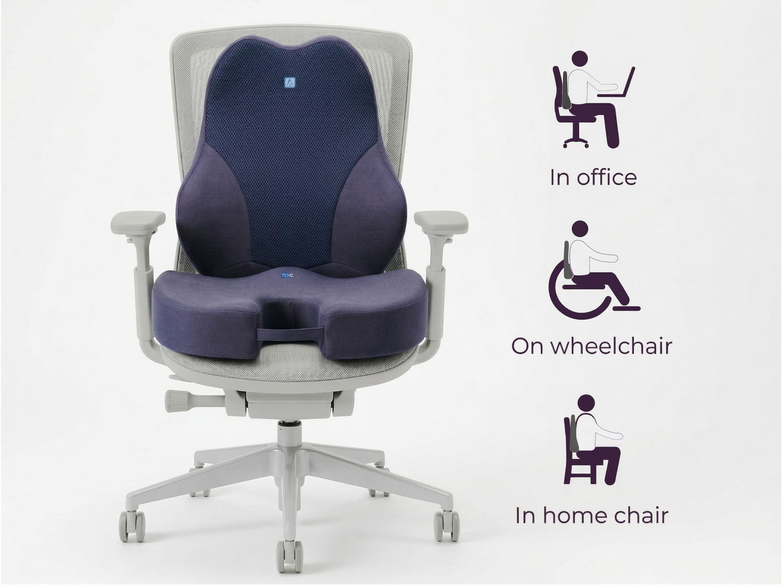 WFH Combo - Backrest (XL) + Coccyx Seat