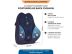 WFH Combo - Backrest (XL) + Coccyx Seat