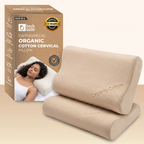 BackGood Organic Pillow - Set of 2