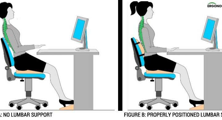 BEST CHAIR SUPPORTS FOR BACK PAIN & LUMBAR SUPPORT